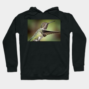 Hummingbird in Flight Hoodie